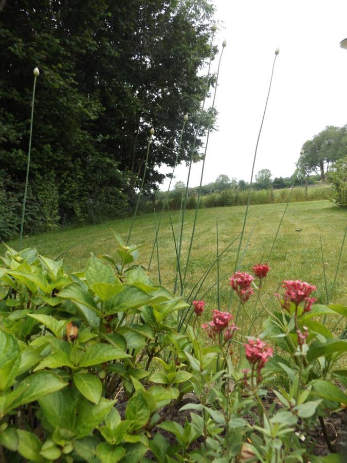 Het Broekeroord Bed & Breakfast Wezep Bagian luar foto