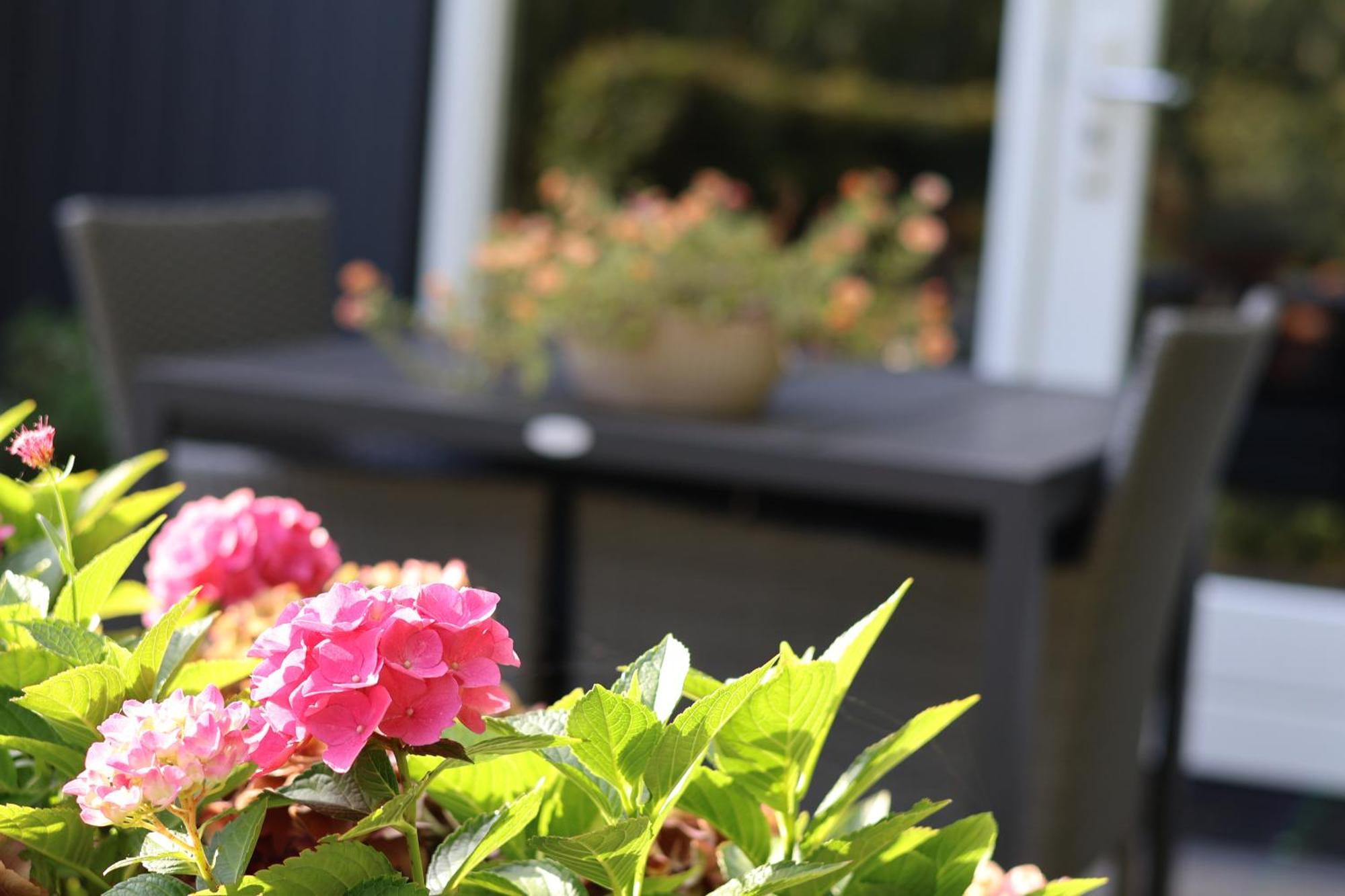 Het Broekeroord Bed & Breakfast Wezep Bagian luar foto